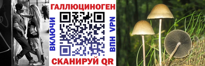 Галлюциногенные грибы Psilocybe  Купить где  Лысково 